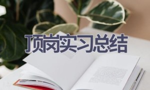 顶岗实习总结(20篇范文）
