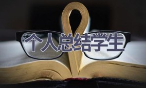 个人总结学生(16篇范文）