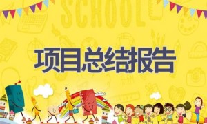 项目总结报告(17篇范文）