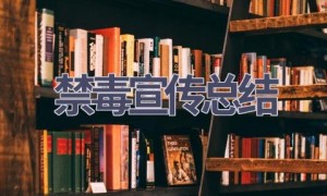 禁毒宣传总结(18篇范文）