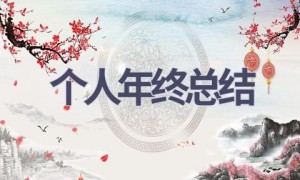 个人年终总结(18篇范文）