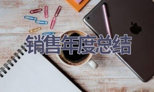 销售年度总结(19篇范文）