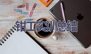 钳工实训总结(12篇范文）