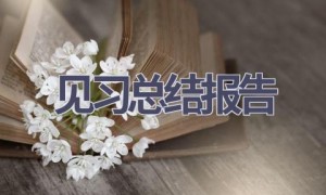 见习总结报告(6篇范文）