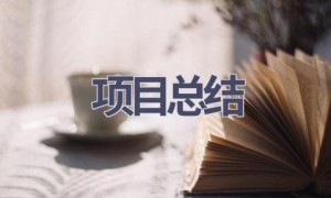 项目总结(21篇范文）