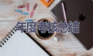 年度考核总结(18篇范文）