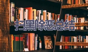 扫黑除恶总结(8篇范文）