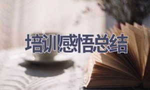 培训感悟总结(15篇范文）