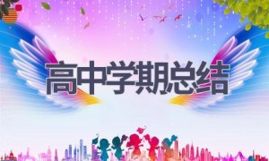 高中学期总结(17篇范文）