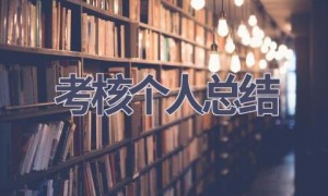 考核个人总结(19篇范文）