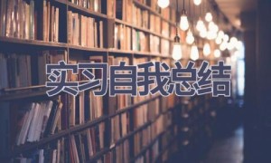 实习自我总结(16篇范文）