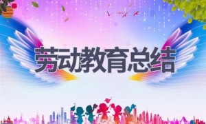 劳动教育总结(15篇范文）