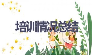 培训情况总结(15篇范文）