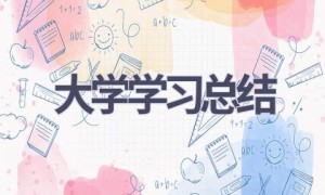 大学学习总结(20篇范文）