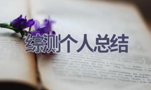 综测个人总结(17篇范文）