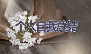 个人自我总结(15篇范文）
