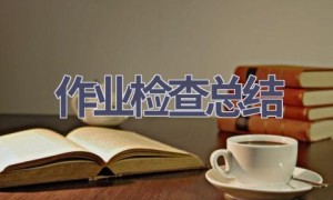 作业检查总结(8篇范文）