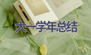 大一学年总结(19篇范文）