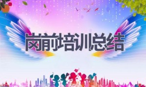 岗前培训总结(17篇范文）
