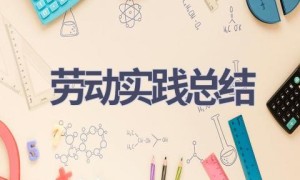劳动实践总结(21篇范文）