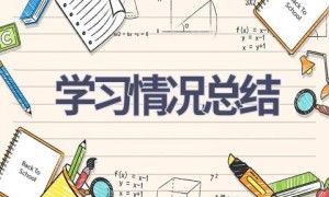 学习情况总结(19篇范文）