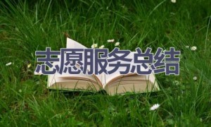 志愿服务总结(17篇范文）