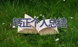 转正个人总结(17篇范文）
