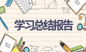 学习总结报告(11篇范文）