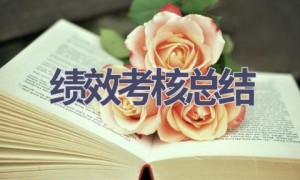 绩效考核总结(16篇范文）