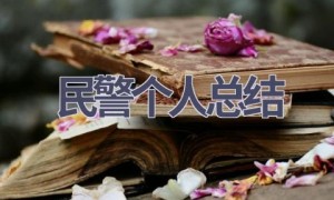 民警个人总结(15篇范文）