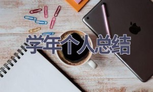 学年个人总结(11篇范文）
