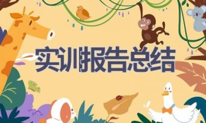 实训报告总结(18篇范文）