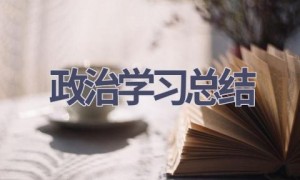 政治学习总结(18篇范文）