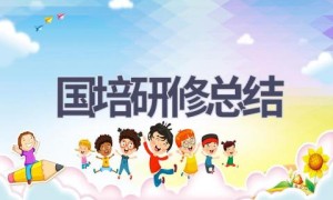国培研修总结(16篇范文）