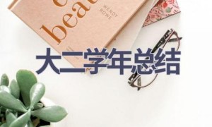 大二学年总结(14篇范文）