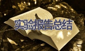 实验报告总结(18篇范文）