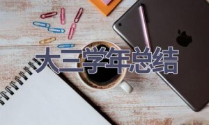 大三学年总结(15篇范文）