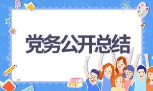 党务公开总结(6篇范文）