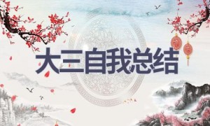大三自我总结(18篇范文）