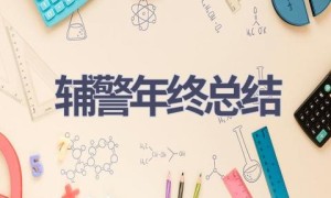 辅警年终总结(15篇范文）
