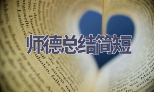 师德总结简短(20篇范文）