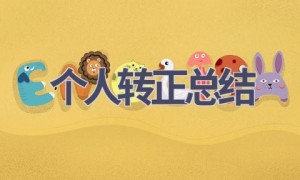 个人转正总结(20篇范文）