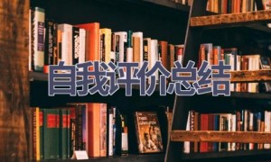 自我评价总结(21篇范文）
