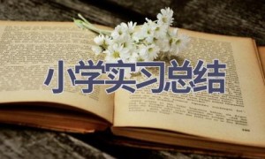 小学实习总结(18篇范文）