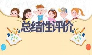 总结性评价(13篇范文）
