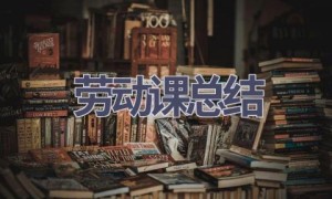 劳动课总结(19篇范文）