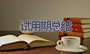 试用期总结(9篇范文）