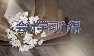 会计学习心得(15篇范文）