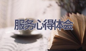服务心得体会(15篇范文）