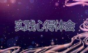 实践心得体会(15篇范文）